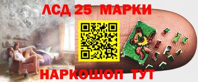 прущие грибы Гусиноозёрск