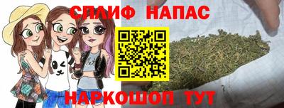прущие грибы Гусиноозёрск