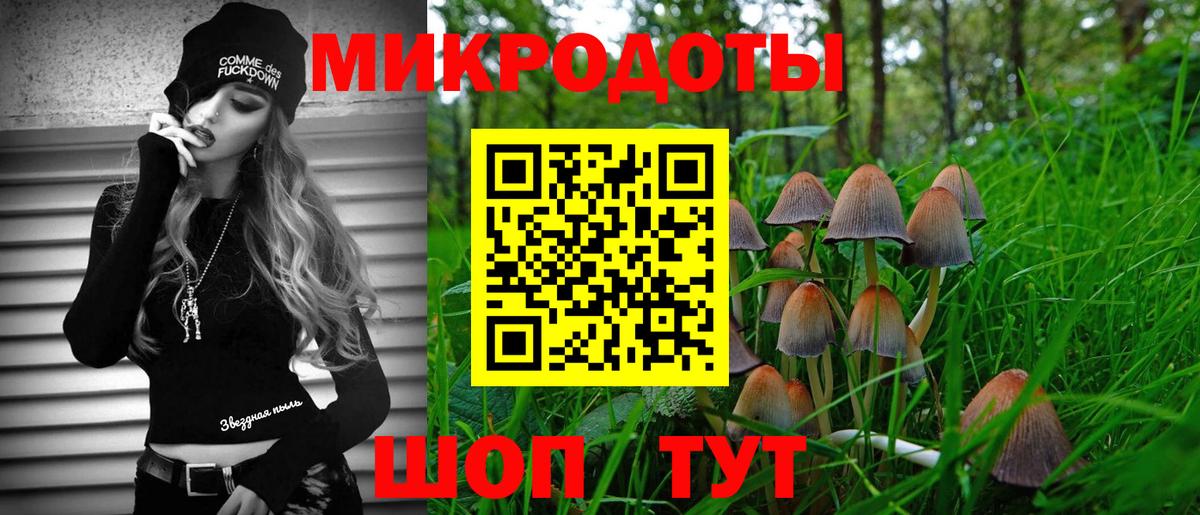 Псилоцибиновые грибы Psilocybine cubensis Муравленко