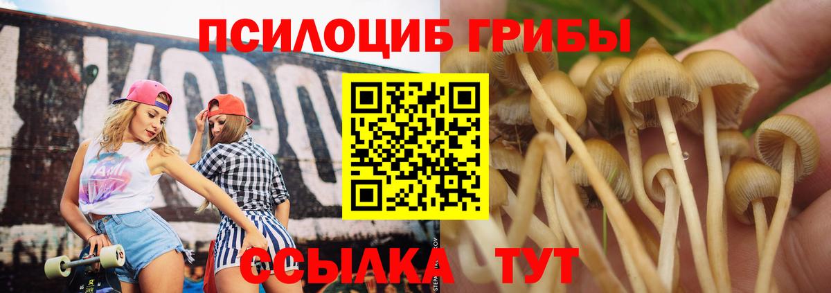 Псилоцибиновые грибы Cubensis  Псилоцибиновые грибы Psilocybe  Вход с VPN  Муравленко 